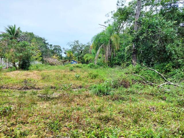 #116 - Terreno para Venda em Itanhaém - SP - 1